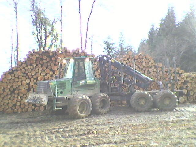 Débardage de bois dans le Jura — SAS POLYVIER